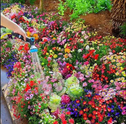 Mixed Perennial Flowers Seeds-Over 60 kinds mixed